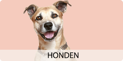 honden